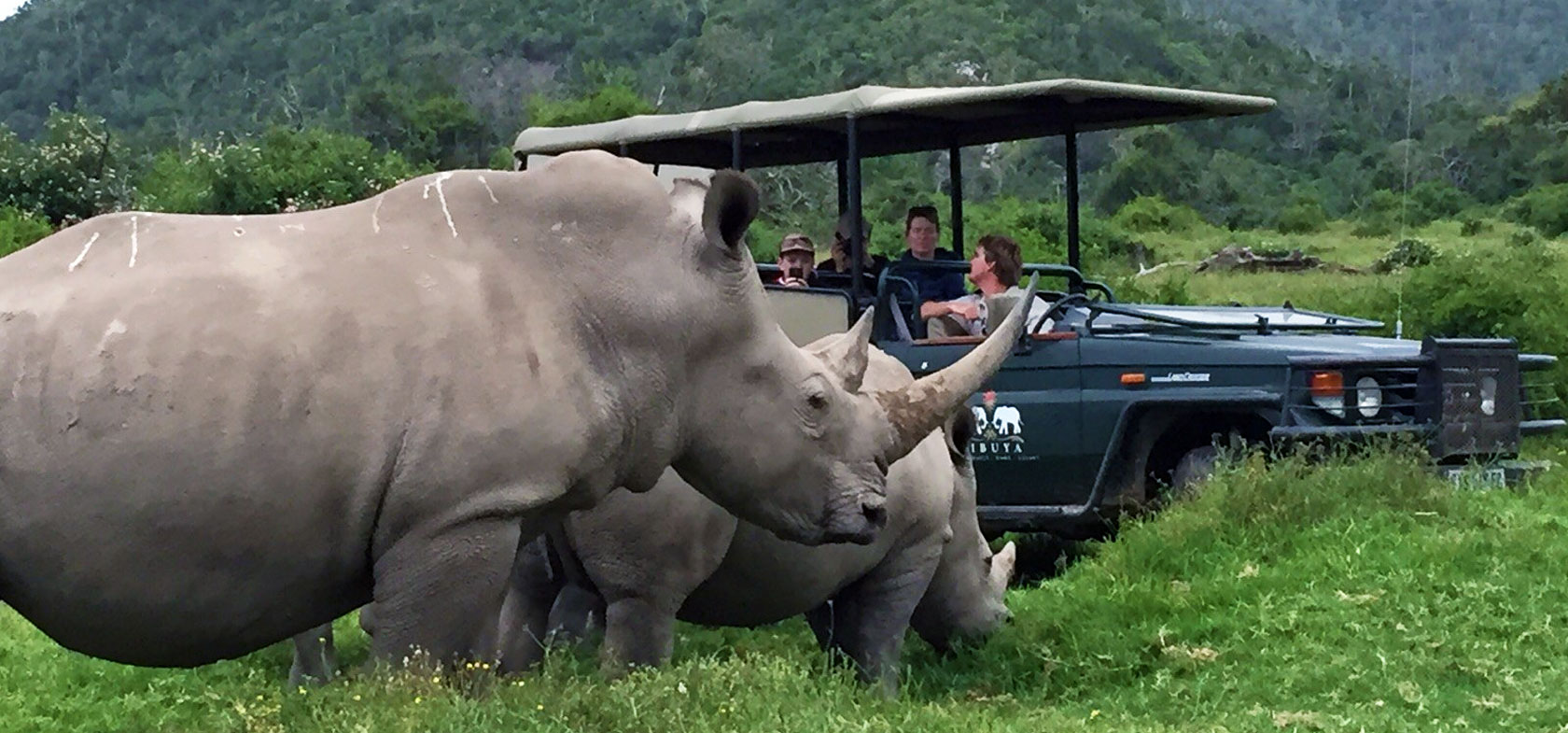Family Cape Adventure, 21-daagse self drive Zuid-Afrika