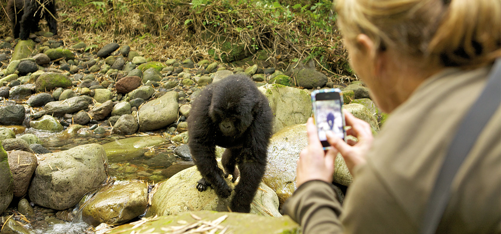 Gorillas, Lakes & Rainforests, Rwanda