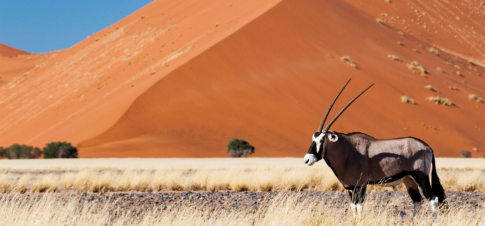 Photo Adventure Namibia, 18-daagse self-drive