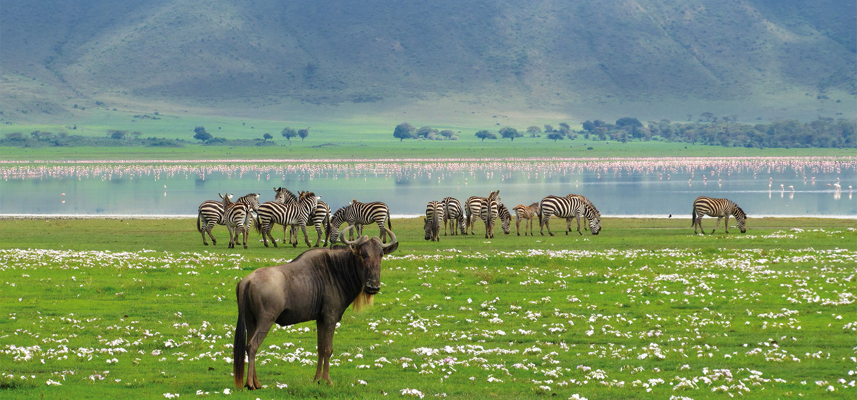 Safari Deluxe, 7-daagse groepsreis Noord Tanzania