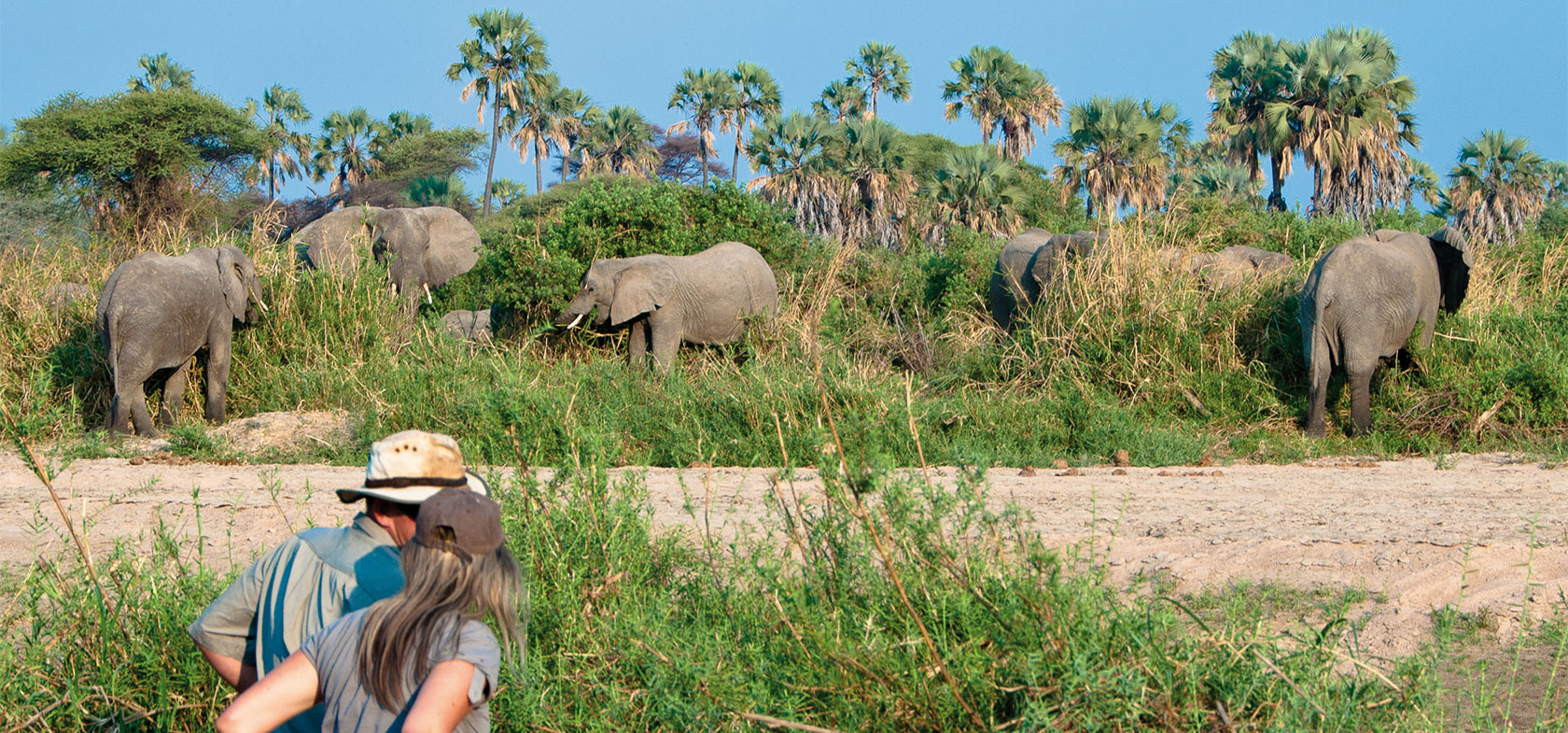 12-daagse fly-in safari Zuid Tanzania + fly camping
