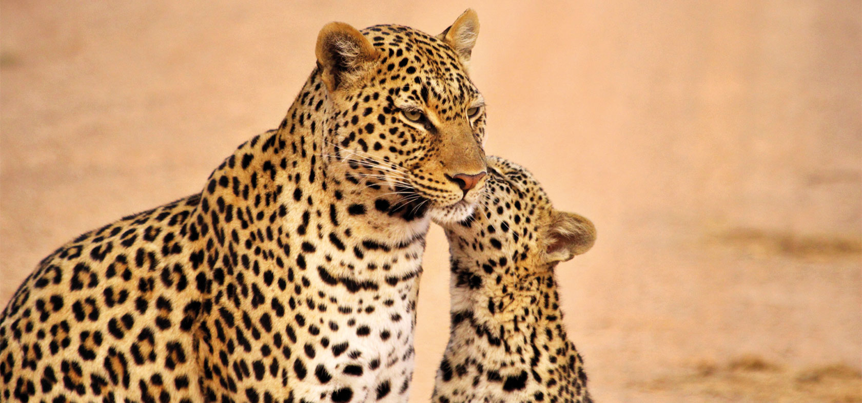 Warm Heart of Kafue, 8-daagse unieke safari