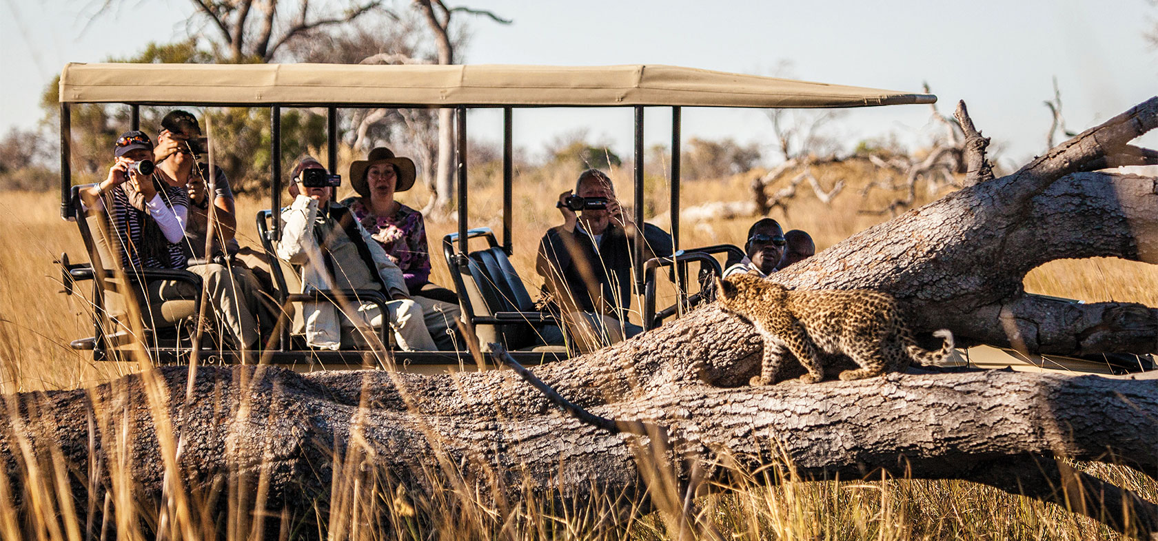 Zambezi to Delta 10-daagse luxe fly-in safari Botswana