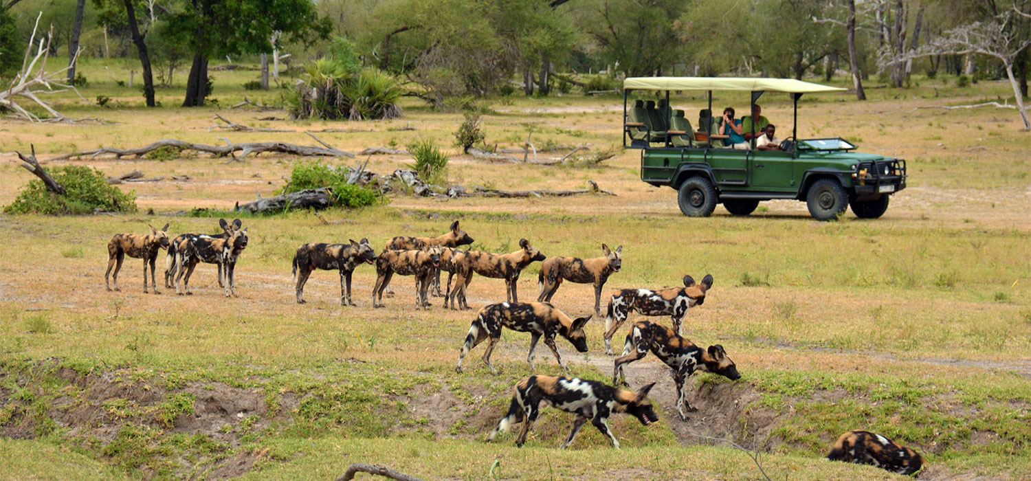 Bush & Beach Experience, 9-daagse luxe fly-in safari Zuid Tanzania + strand
