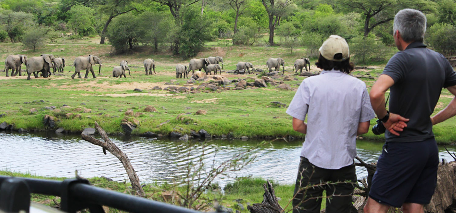 Bush Experience, 9-daagse luxe fly-in safari Zuid Tanzania