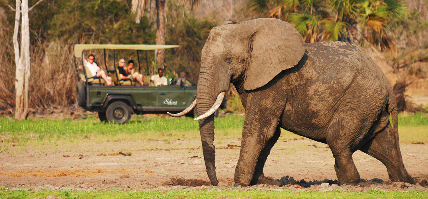 Ultimate Bush & Beach Experience, 12-daagse luxe fly-in safari Zuid Tanzania + strand