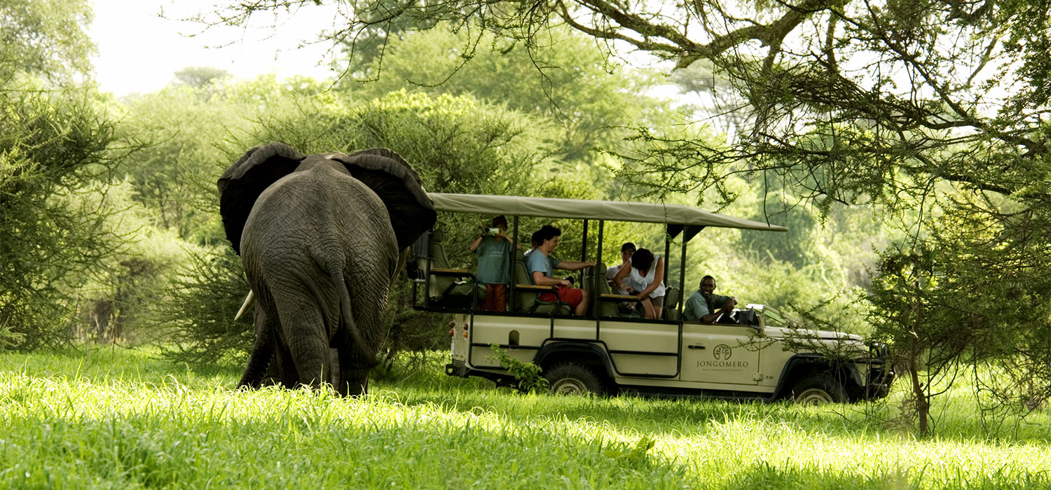 Ultimate Bush Experience, 12-daagse luxe fly-in safari Zuid Tanzania
