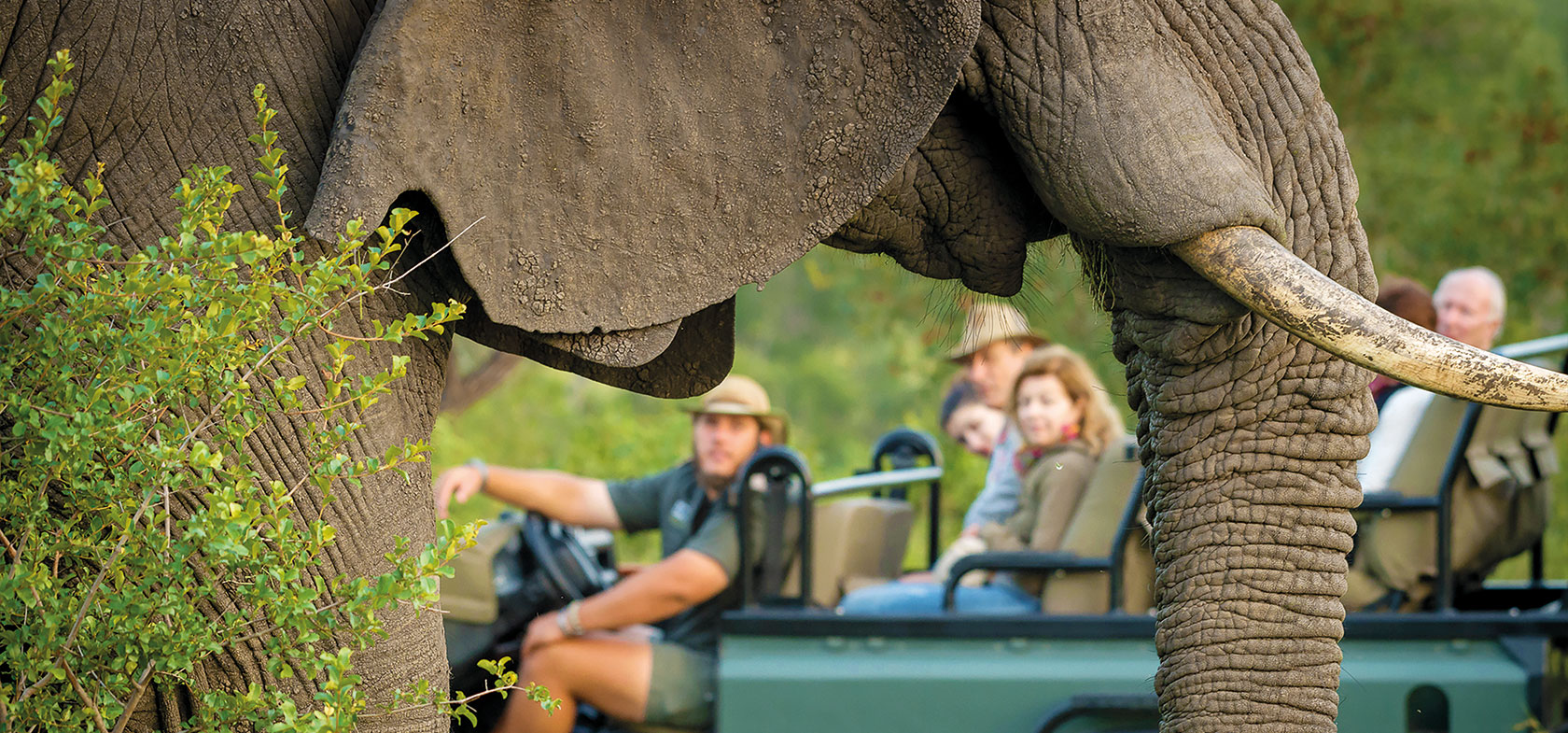 Walk on the Wild Side, 17-daagse self-drive Zuid-Afrika