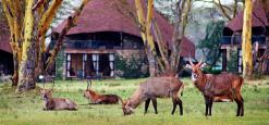 Lake Naivasha Sopa Resort Kenya