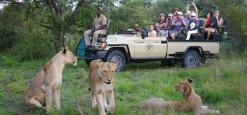 Mohlabetsi Safari Lodge, Balule, Kruger, South Africa