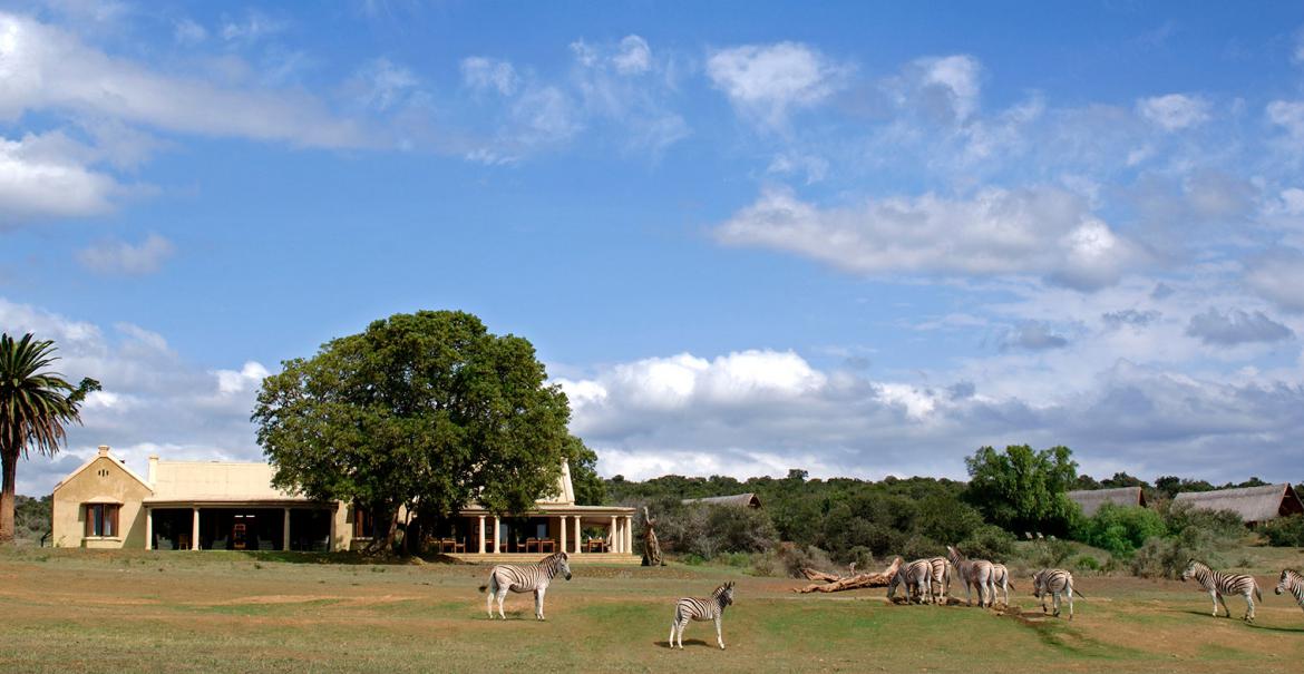 Gorah Elephant Camp, Addo Elephant Park, Zuid-Afrika