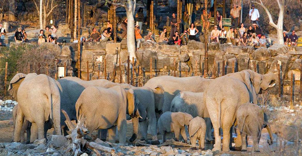 Halali Resort, Etosha, Namibië
