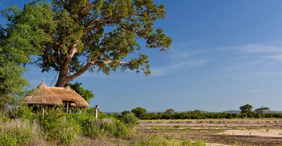 Kigelia Ruaha, Tanzania