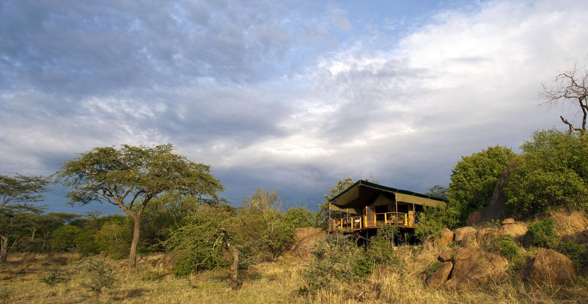 Kusini, Serengeti, Tanzania