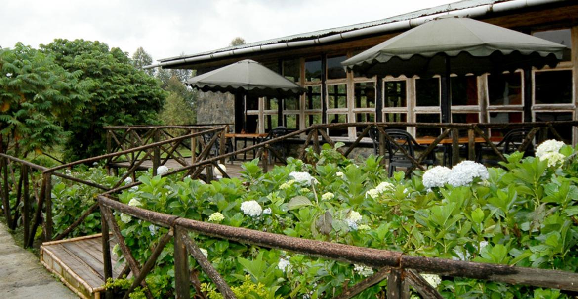 Mountain Gorilla View Lodge, Parc National de Volcans, Rwanda