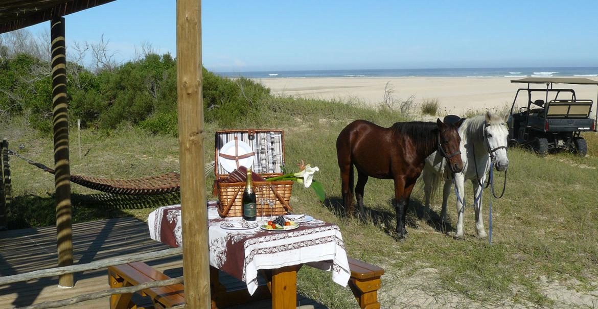Oyster Bay Lodge, South Africa