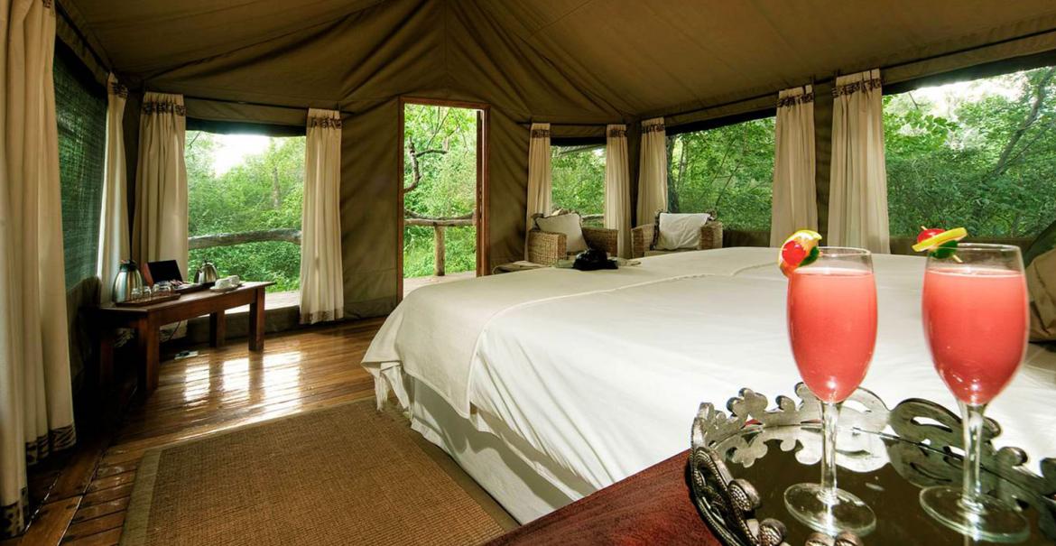 Royal Tree Lodge, Maun, Botswana