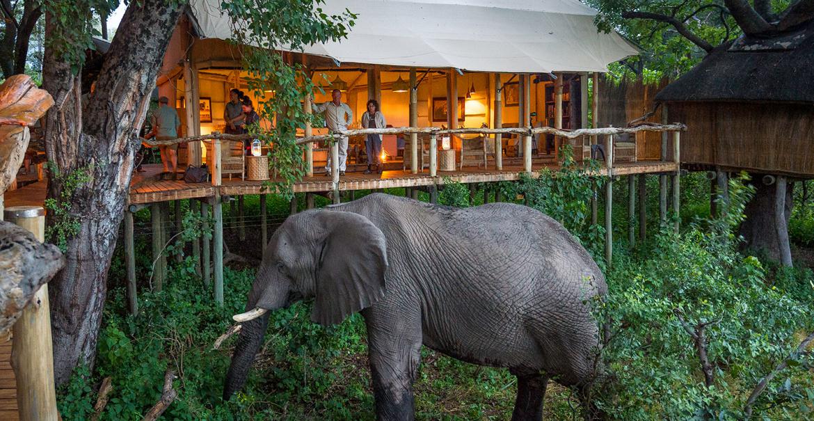 Tubu Tree Camp, Jao Reserve, Okavango, Botswana