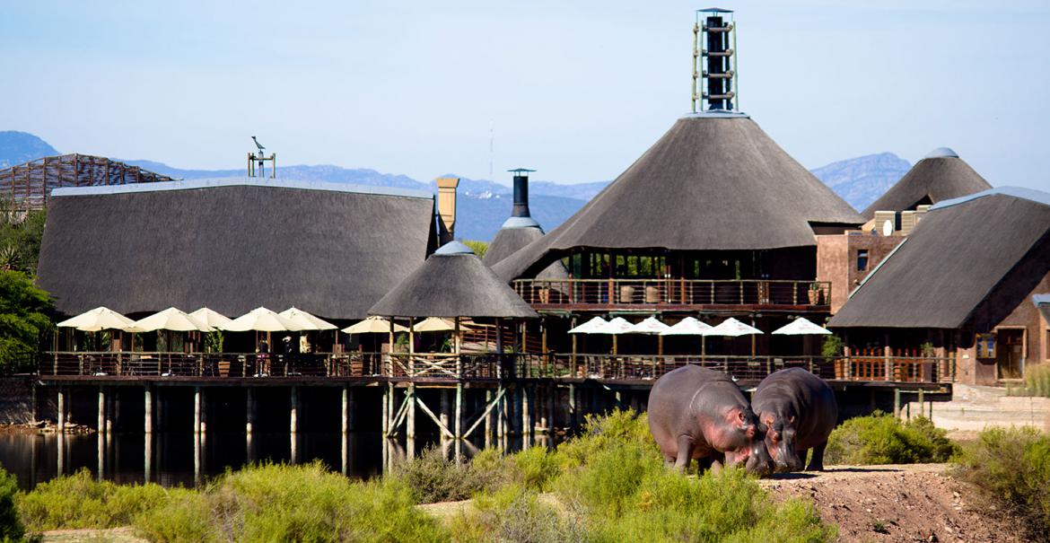 Buffelsdrift Game Lodge, Oudtshoorn, South Africa