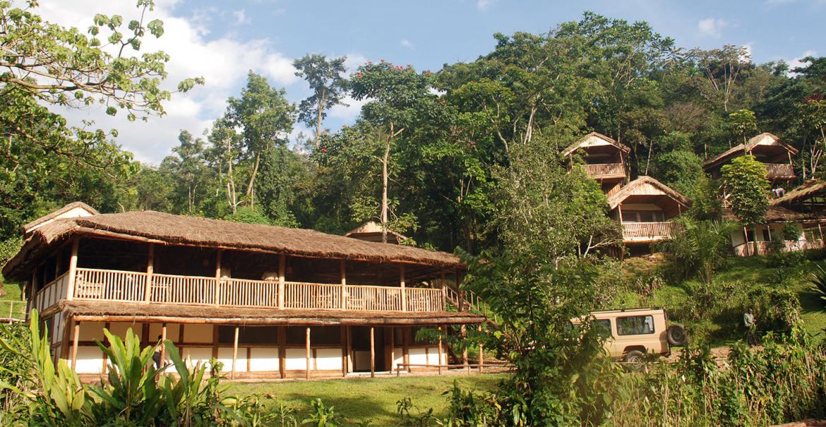 Buhoma Lodge, Bwindi, Uganda