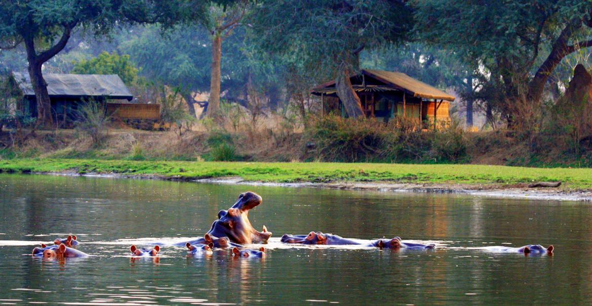 Chongwe River Camp, Lower Zambezi, Zambia