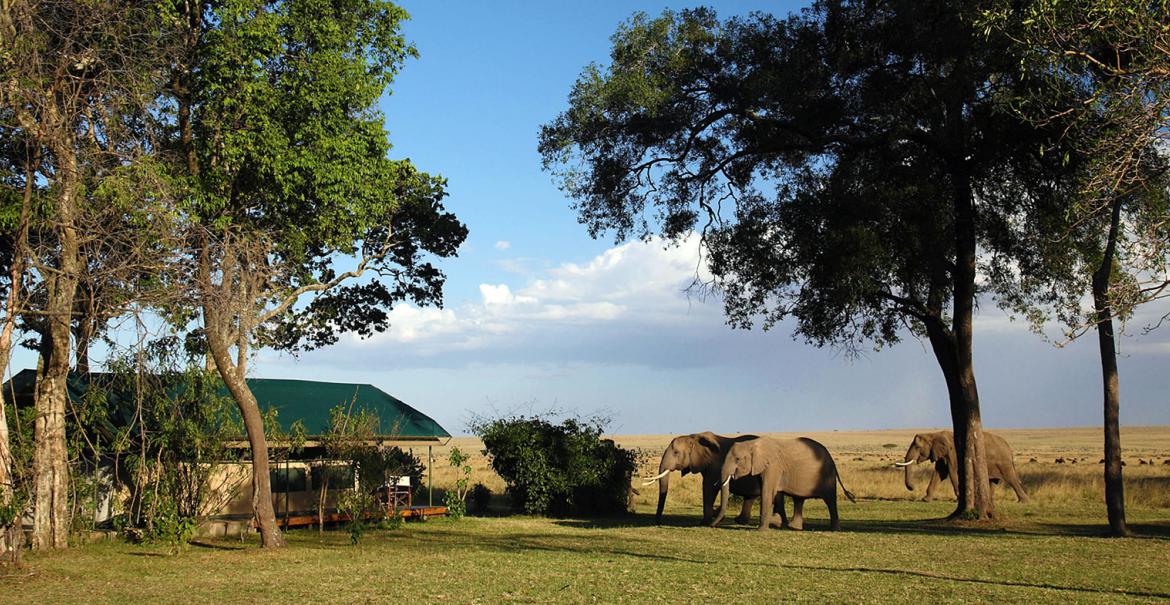 Governors’ Camp, Masai Mara, Kenya