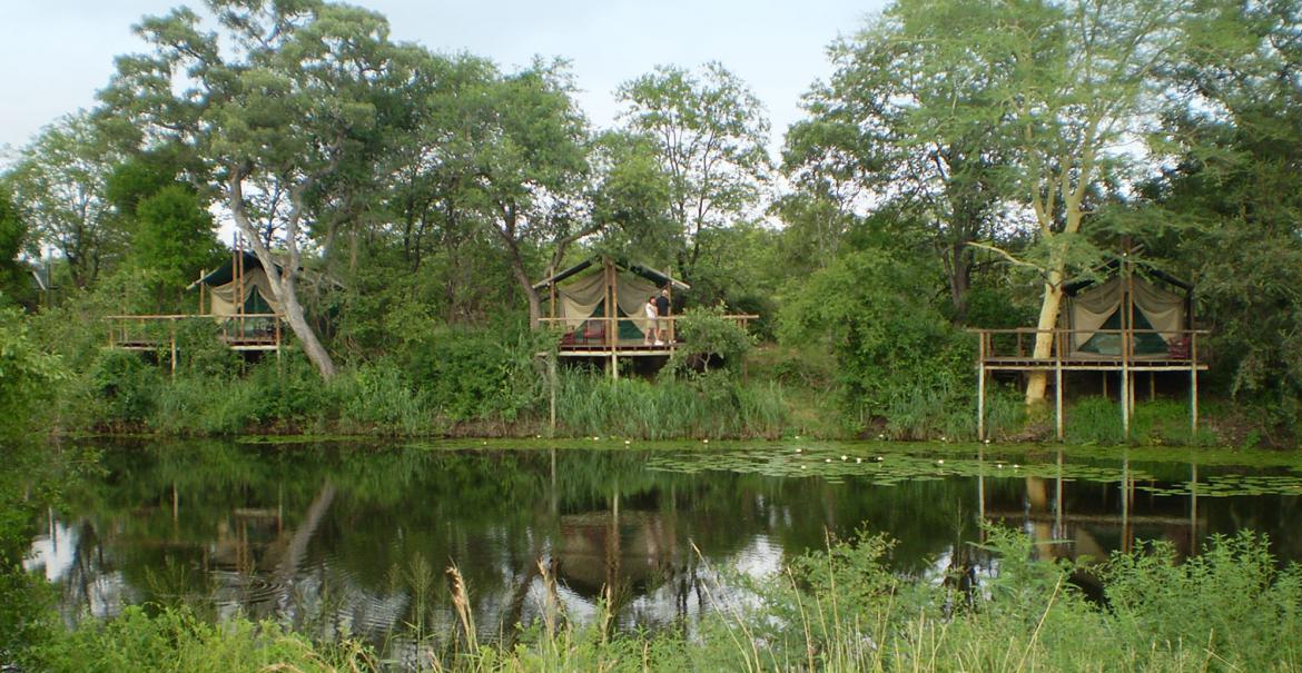 Machampane Wilderness Camp, Great Limpopo Transfrontier Park, Mozambique