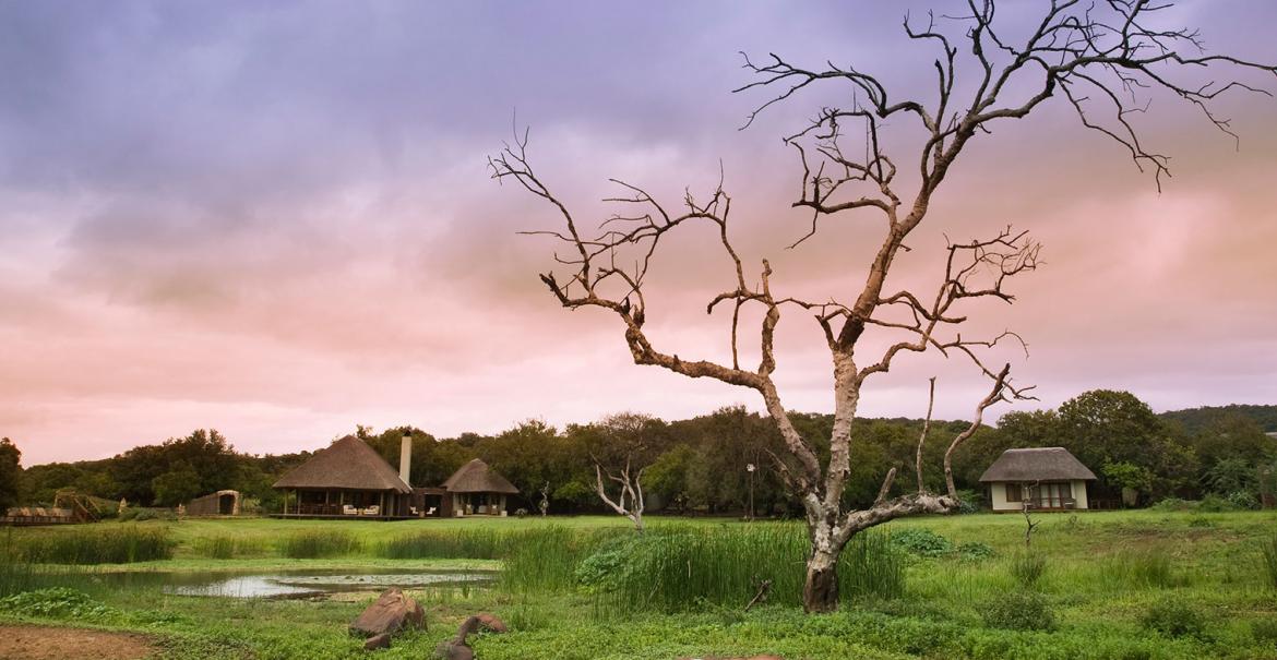 Phinda Zuka Lodge, South Africa