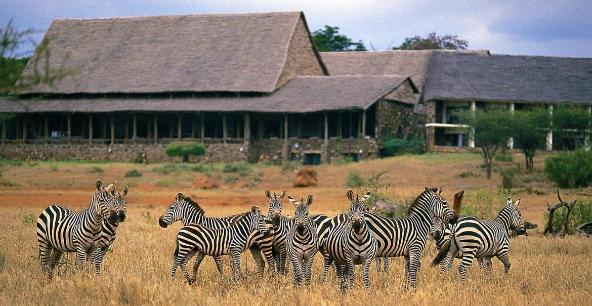 Kilaguni Serena Safari Lodge, Tsavo West, Kenya