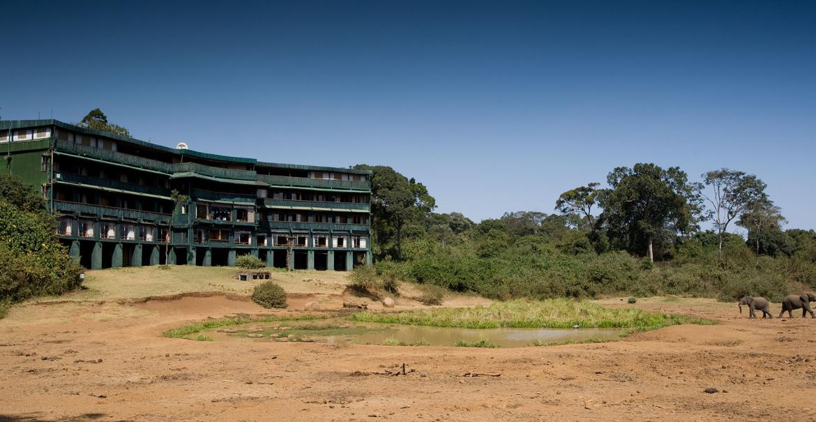 Serena Mountain Lodge, Mount Kenya, Kenya