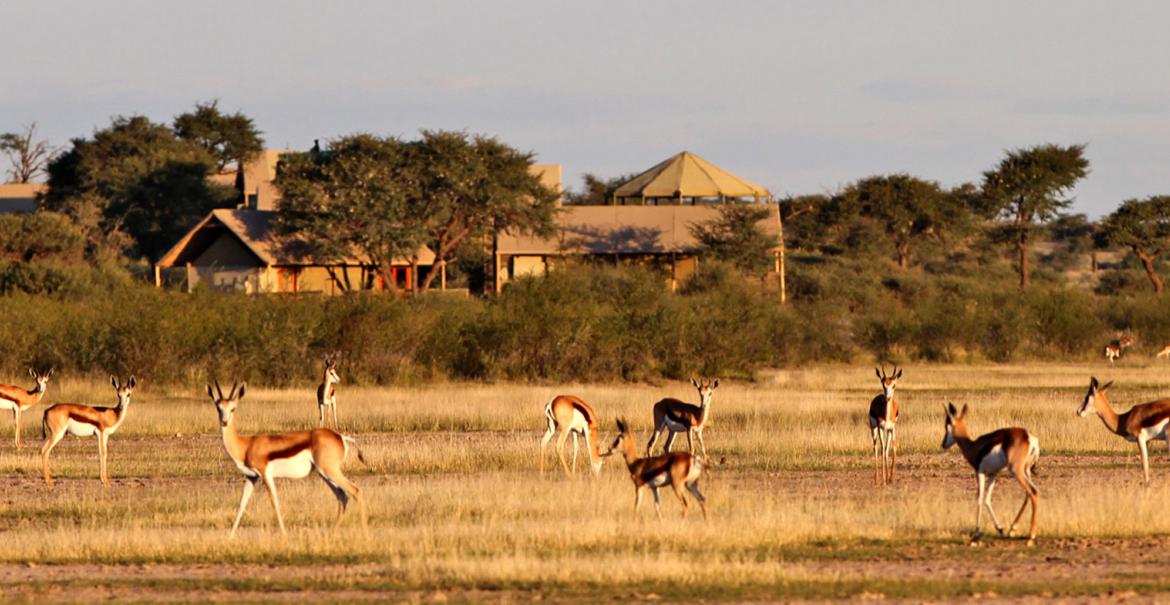 Suricate Kalahari Tented Lodge, Namibia