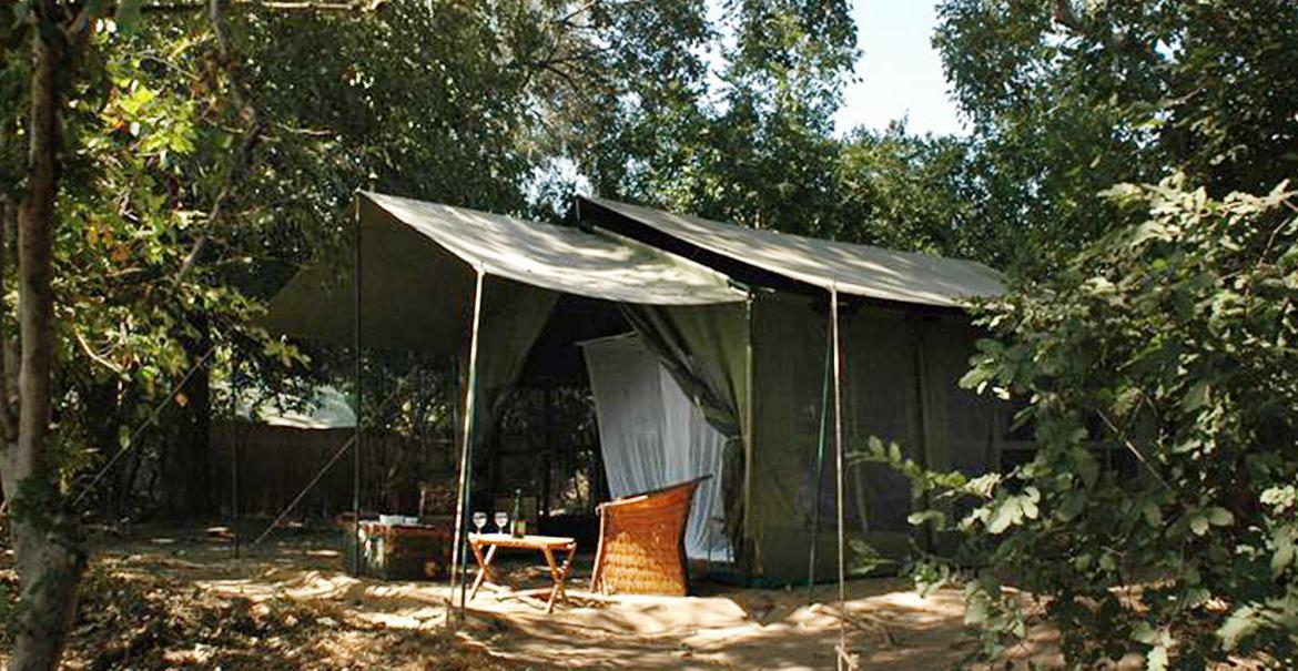 Little Vundu, Mana Pools, Zimbabwe