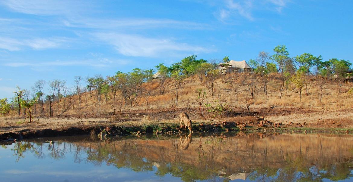 The Elephant Camp, Victoria Falls National Park, Zimbabwe