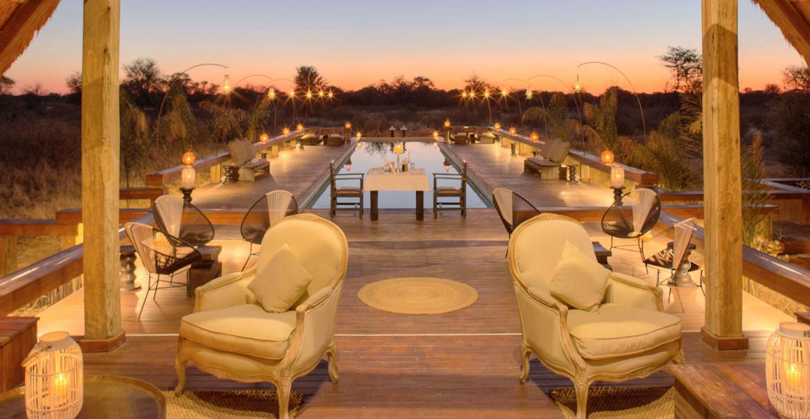 Feline Fields, Kalahari, Botswana