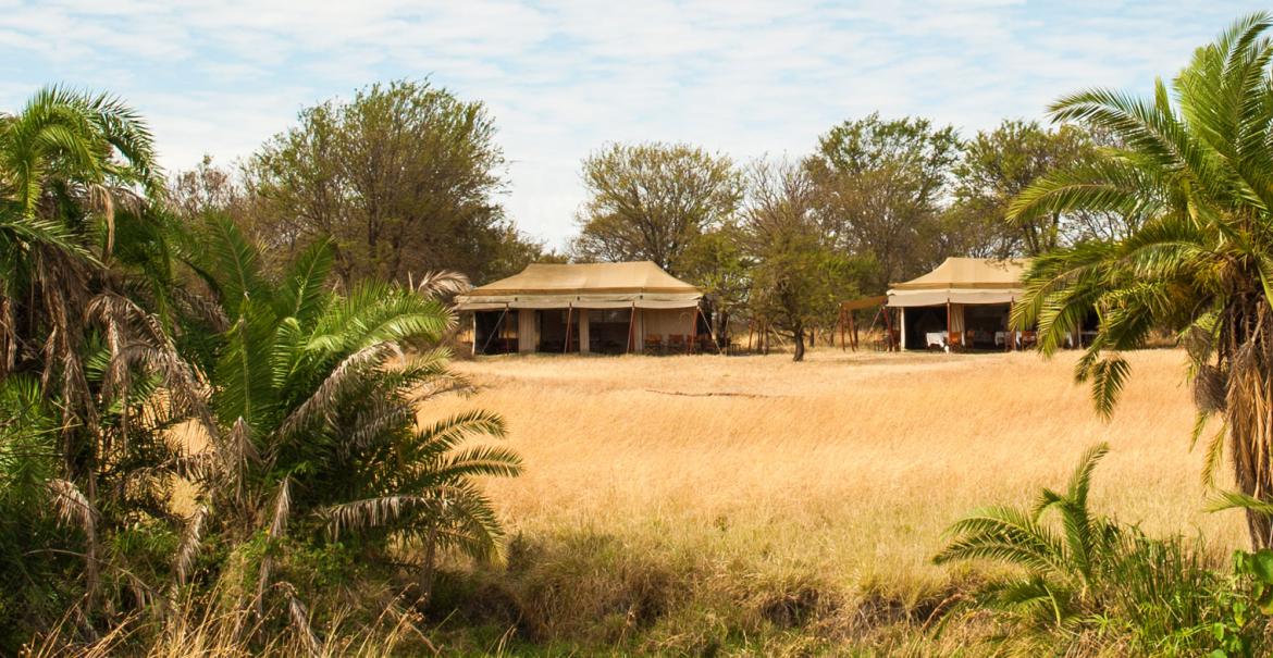 Mara Under Canvas, Serengeti, Tanzania