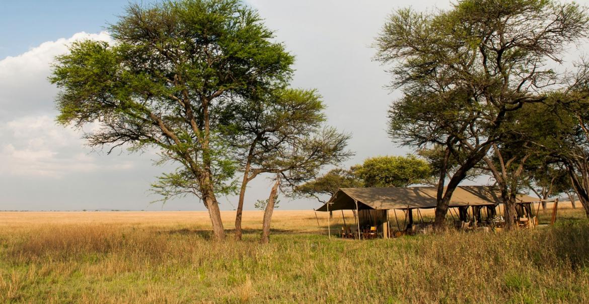 Serengeti Safari Camp, Tanzania