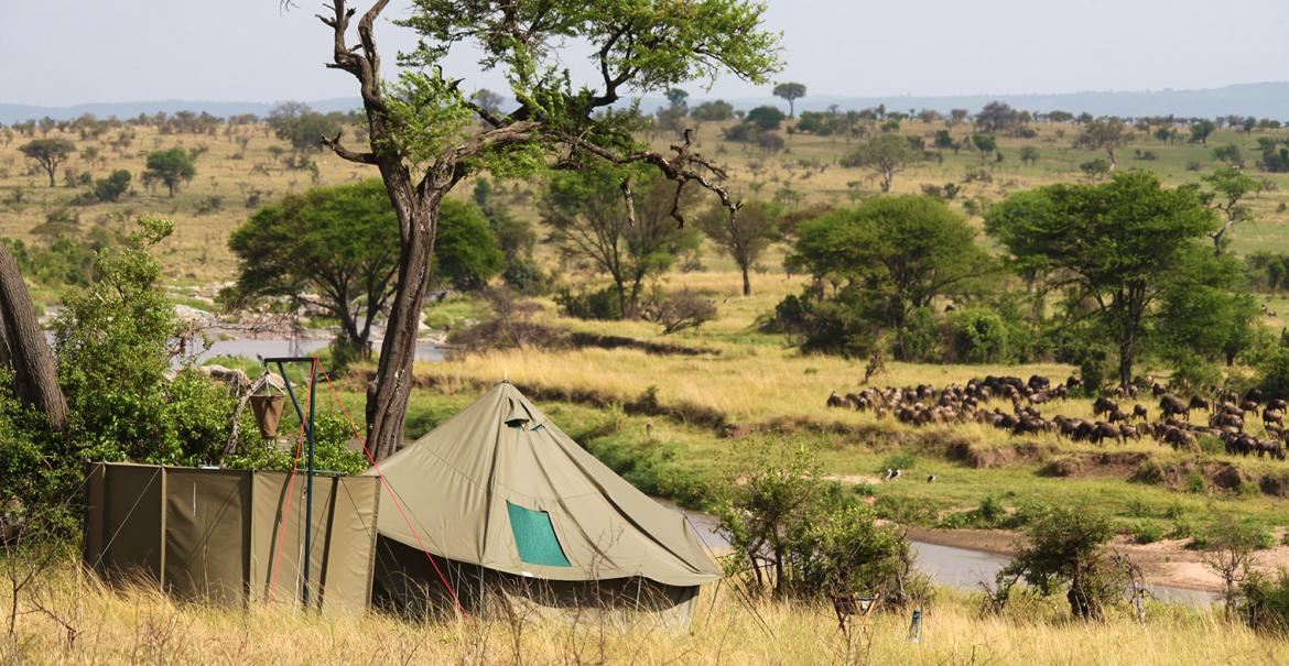 Wayo Green Camp, Serengeti, Tanzania
