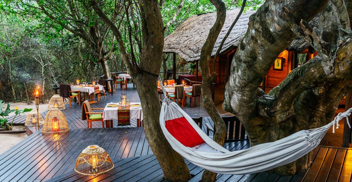 Kosi Forest Lodge, Isimangaliso Wetland Park, South Africa
