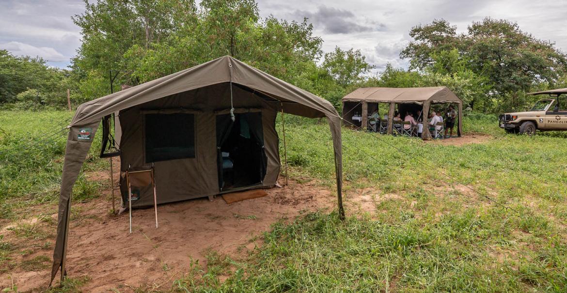 Pangolin Mobile Camp, Chobe, Botswana