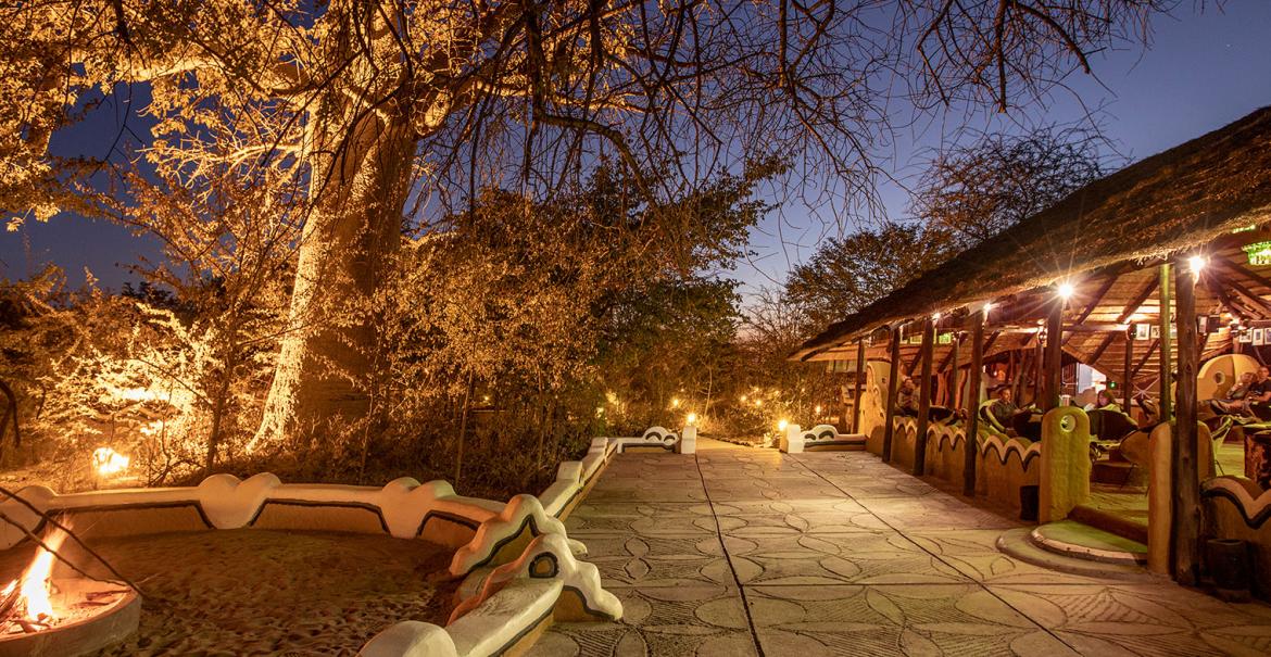 Planet Baobab, Gweta, Madgadikgadi, Botswana