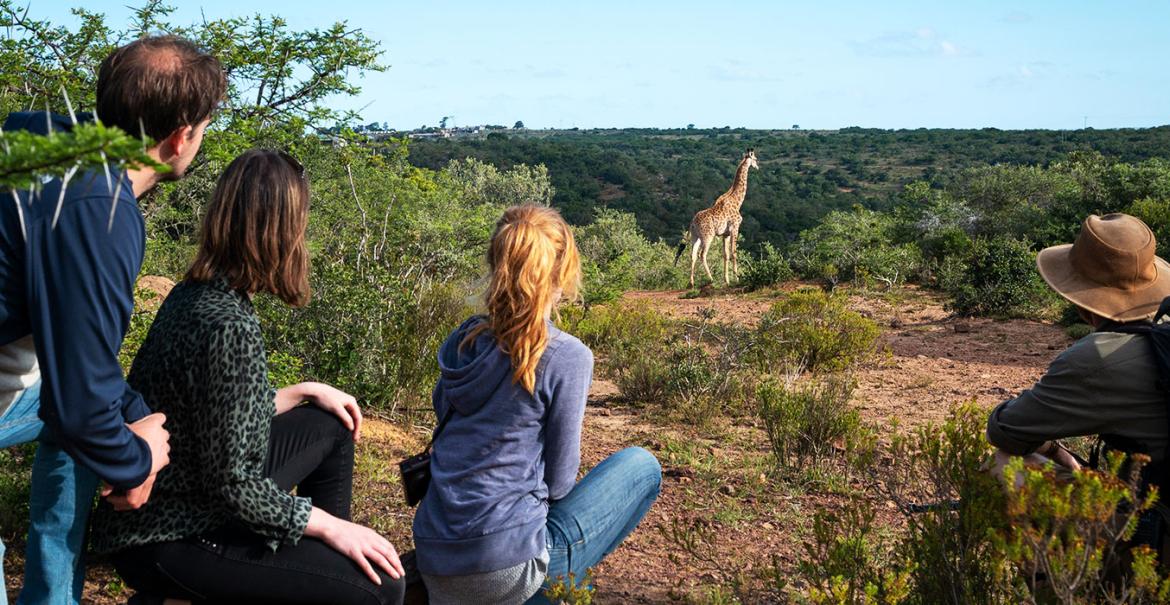 Elephants Lodge, Bellevue Forest Reserve, South Africa
