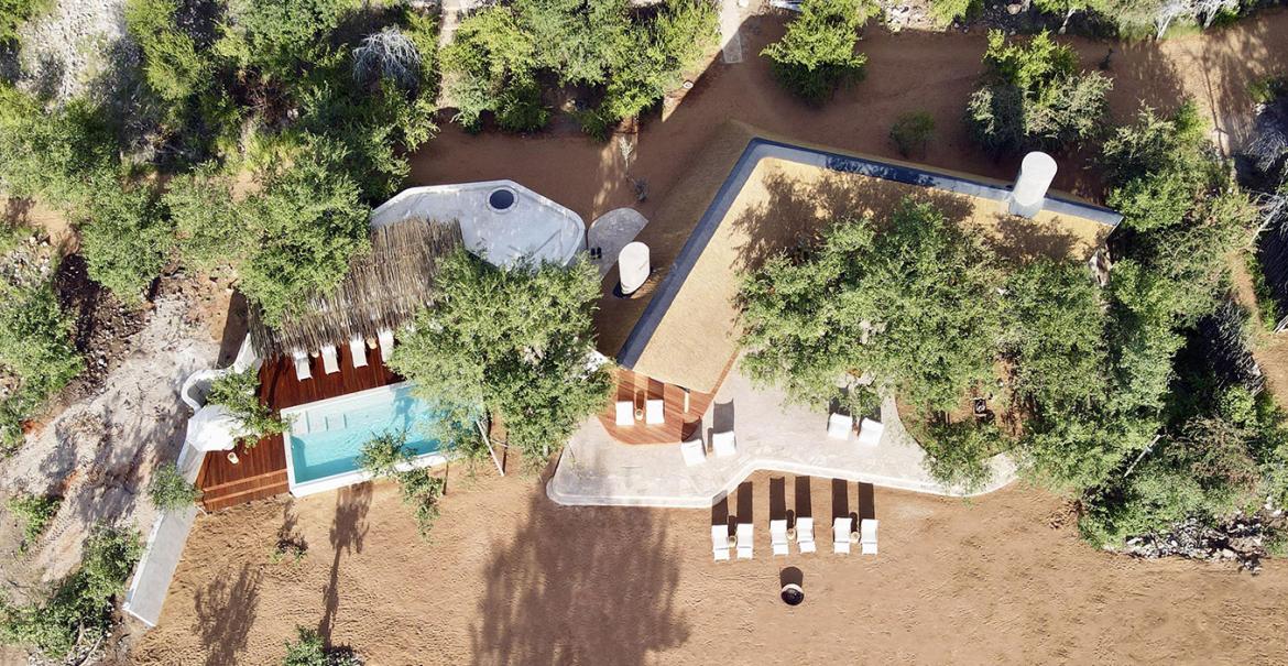 Encounter by Ongava, Etosha, Namibia