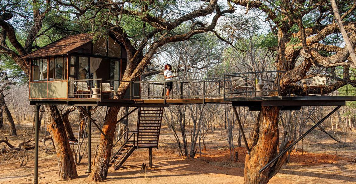 Tum Tum Treehouse Lodge, Hwange National Prk, Zimbabwe