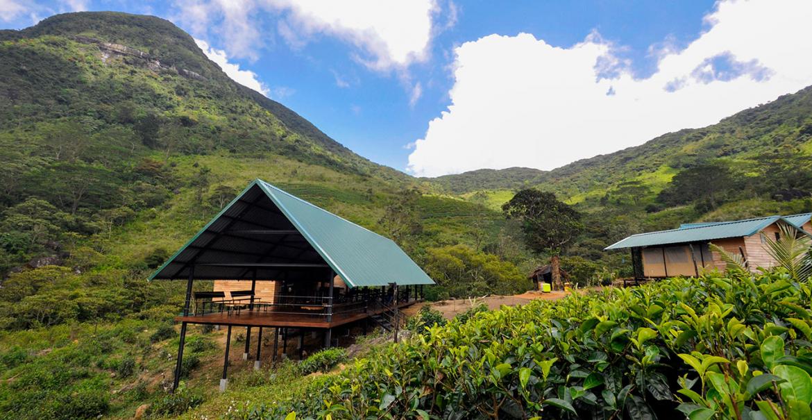 Wild Glamping Knuckles, Sri Lanka