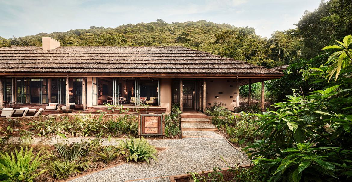 Gorilla Forest Lodge, Bwindi, Uganda