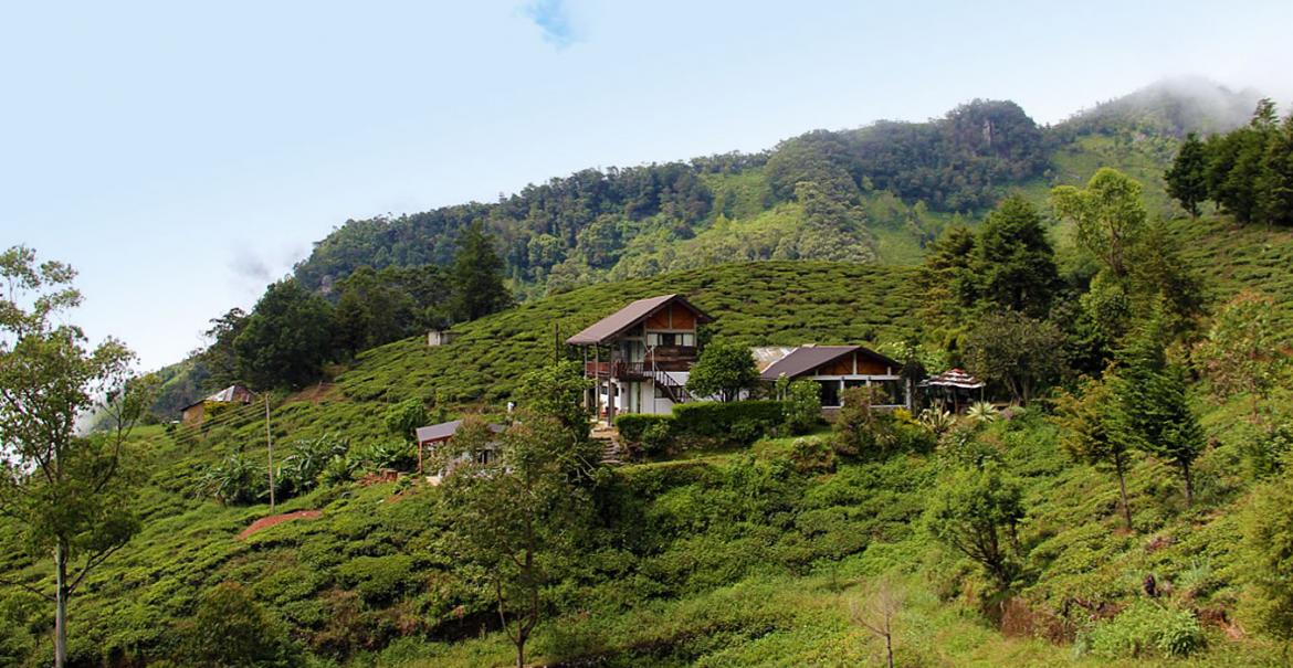 Hill Safari Eco Lodge, Ohiya, Sri Lanka
