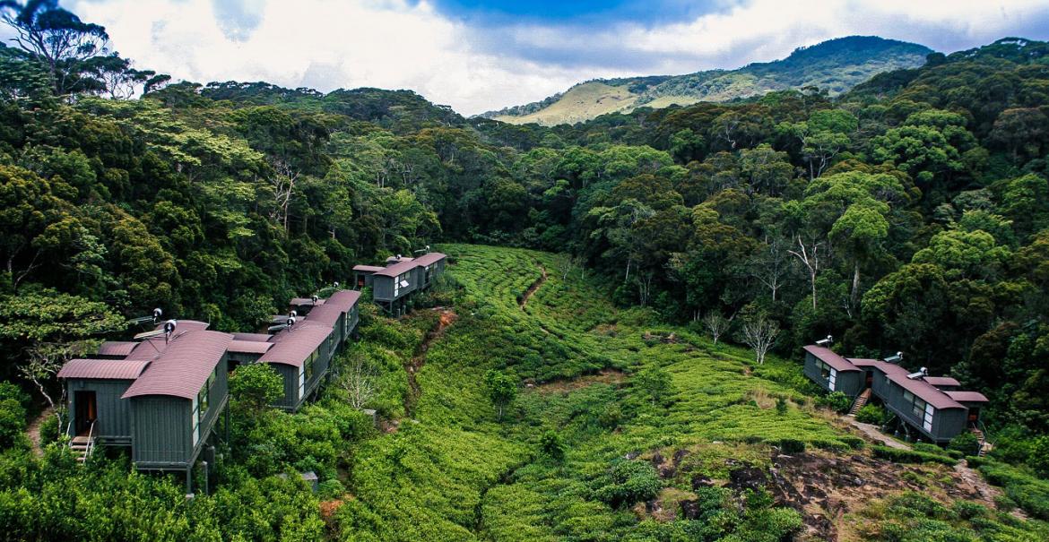 Rainforest Ecolodge, Sinharaja, Deniyaya, Sri Lanka