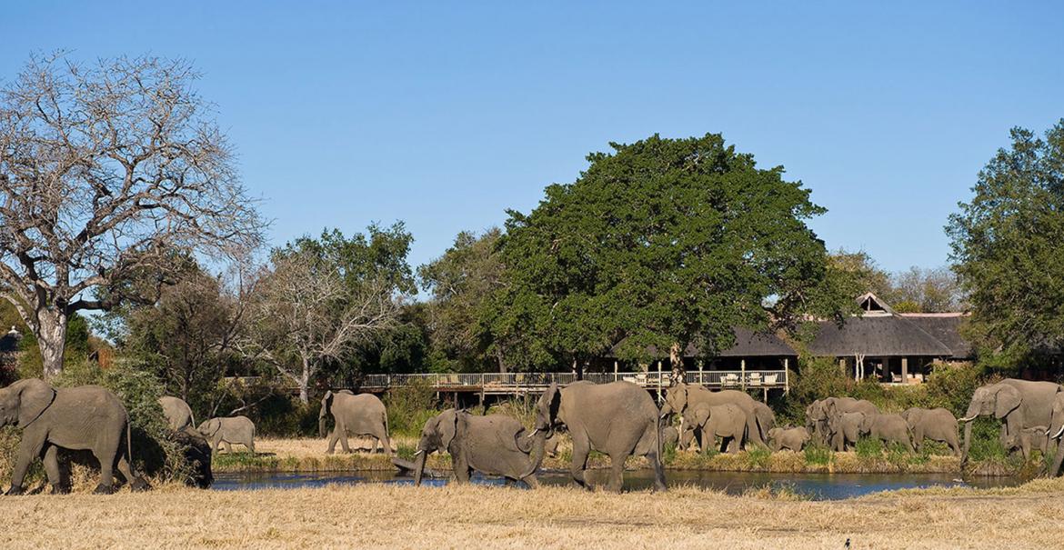 Sabi Sabi Bush Lodge, South Africa