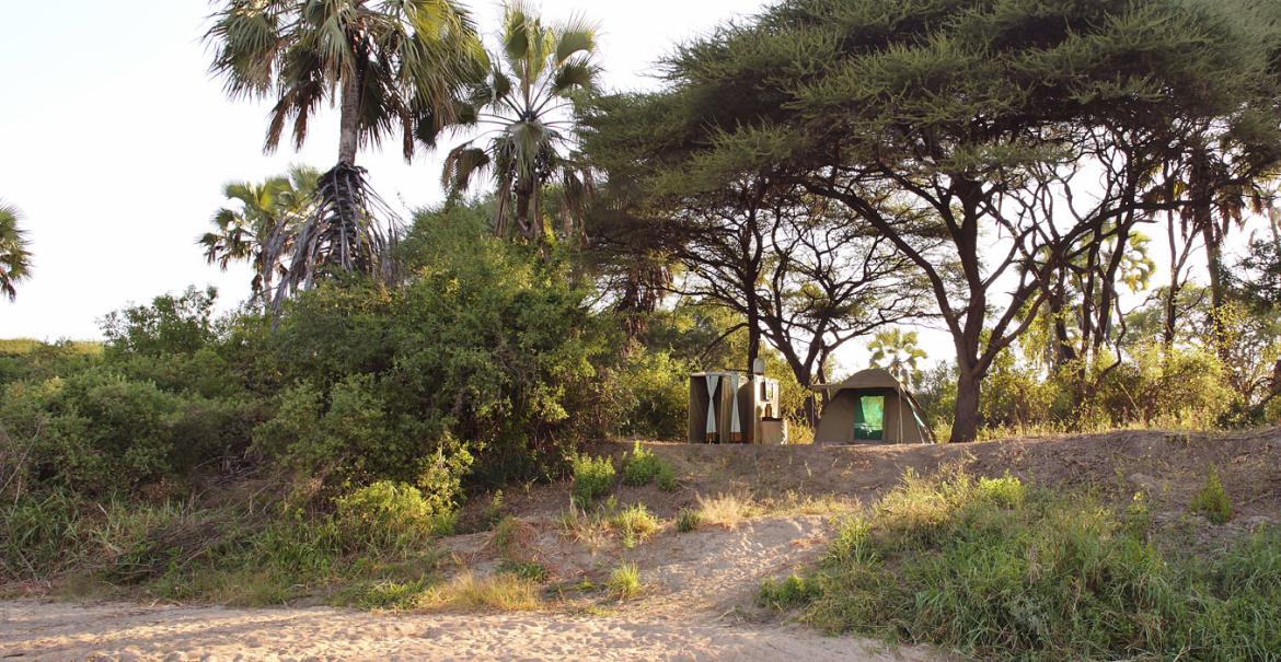 Kichaka Kidogo, Ruaha National Park, Tanzania