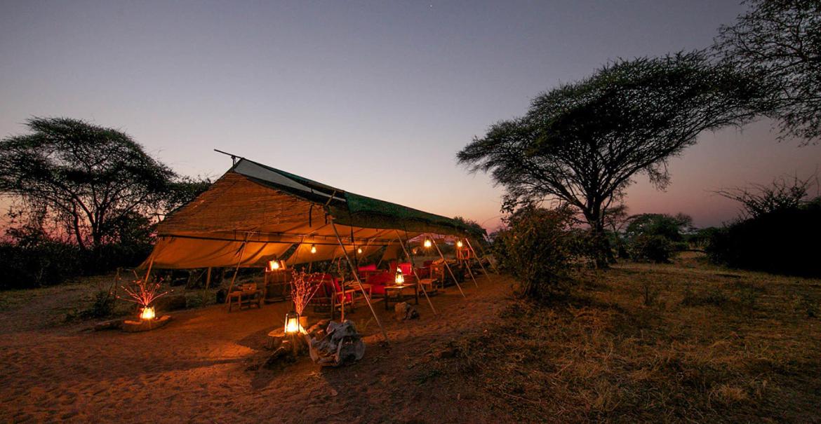 Mdonya Old River Camp, Ruaha, Tanzania